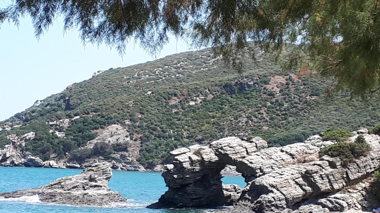 Ellina'S Home - Euboea Island Greece Oxílithos Kültér fotó